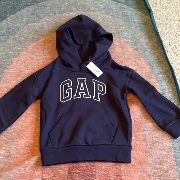 NWT Gap Hoodie - Picture 1 of 3